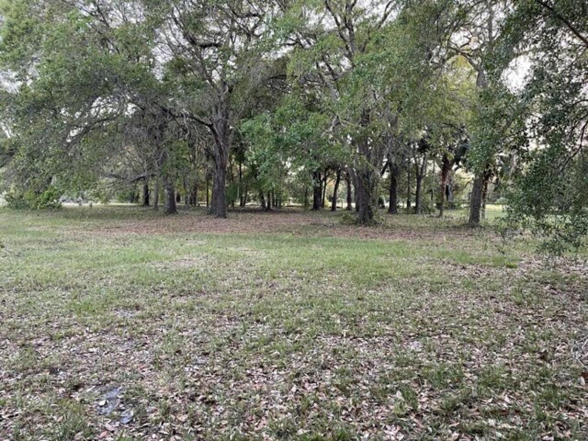 Picture of Residential Land For Sale in Mims, Florida, United States