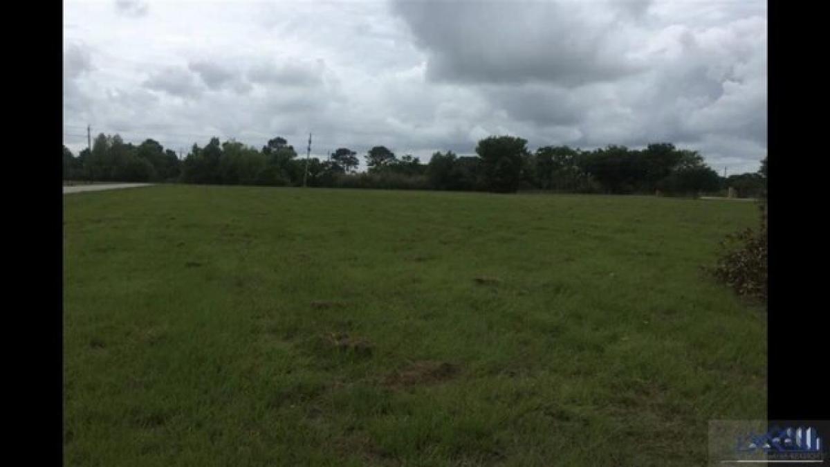 Picture of Residential Land For Sale in Larose, Louisiana, United States