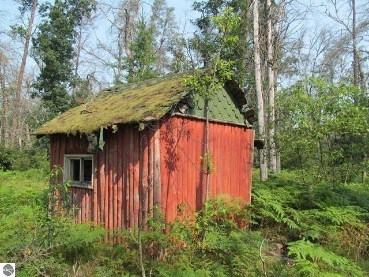 Picture of Home For Sale in Wellston, Michigan, United States