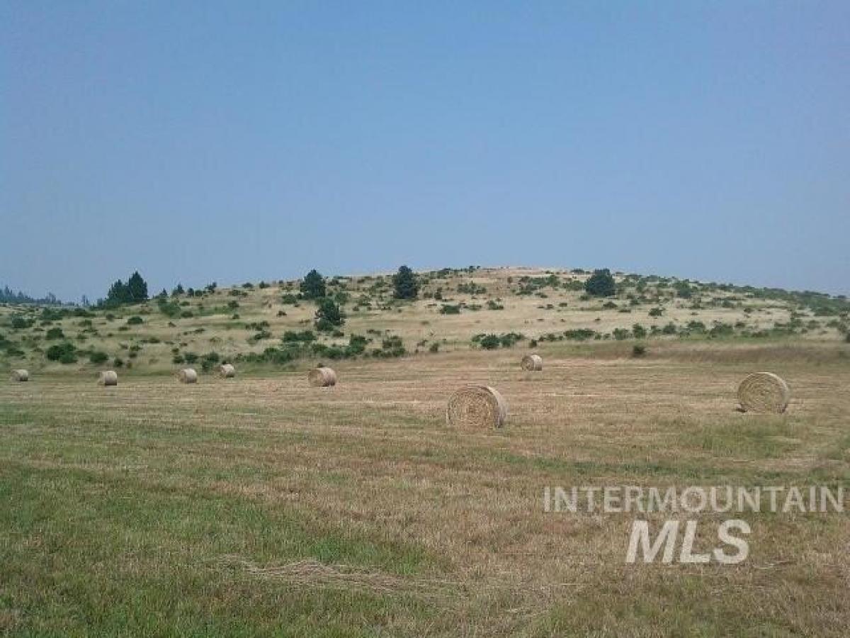 Picture of Residential Land For Sale in Kamiah, Idaho, United States