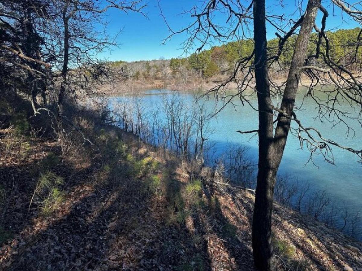 Picture of Residential Land For Sale in Shirley, Arkansas, United States