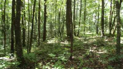 Residential Land For Sale in 