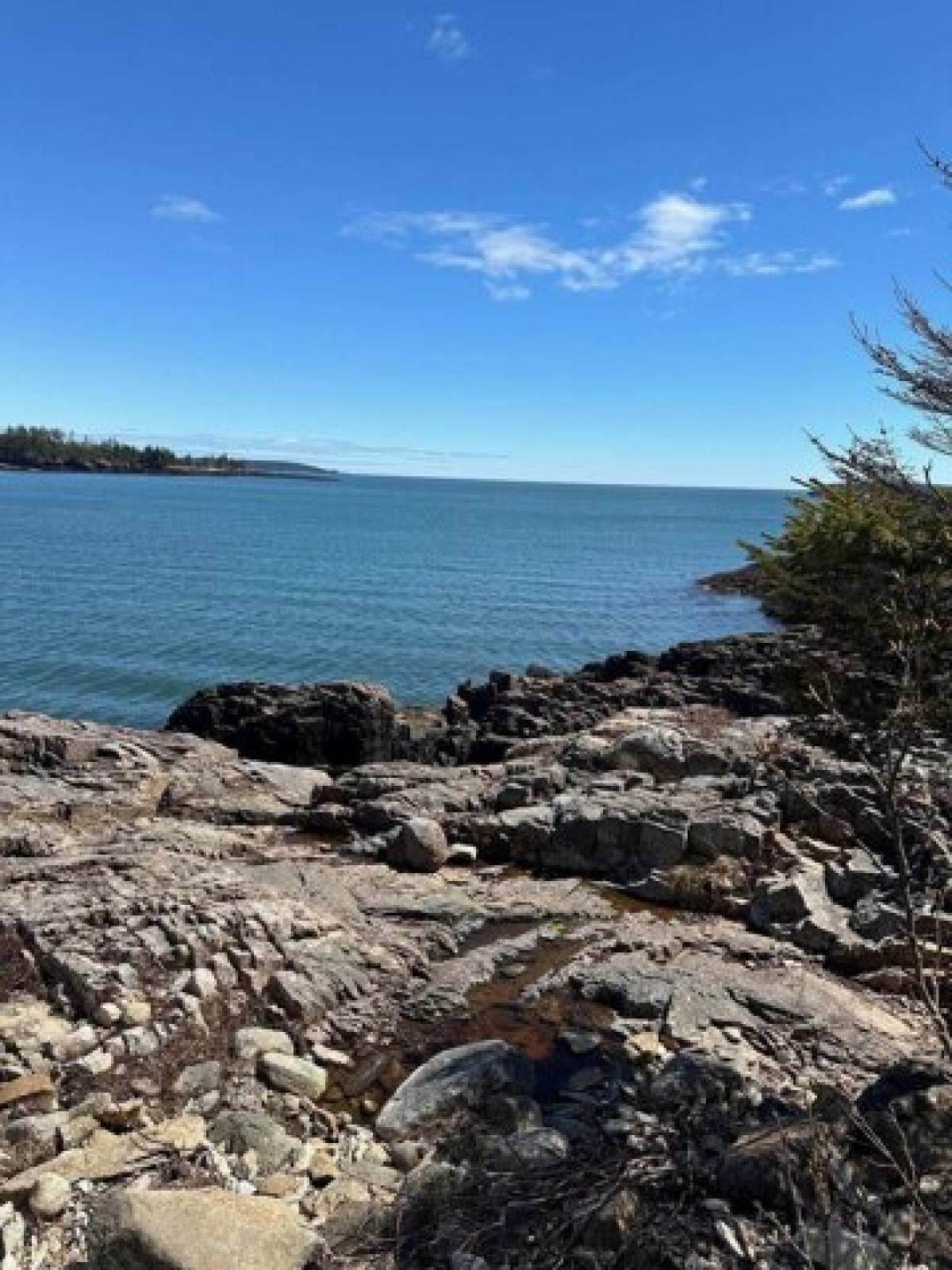 Picture of Residential Land For Sale in Machiasport, Maine, United States