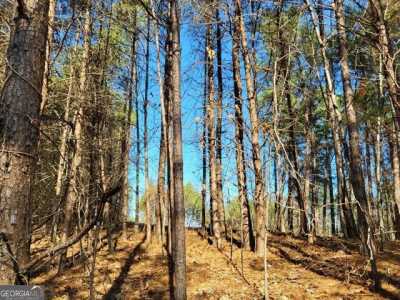 Residential Land For Sale in Chatsworth, Georgia