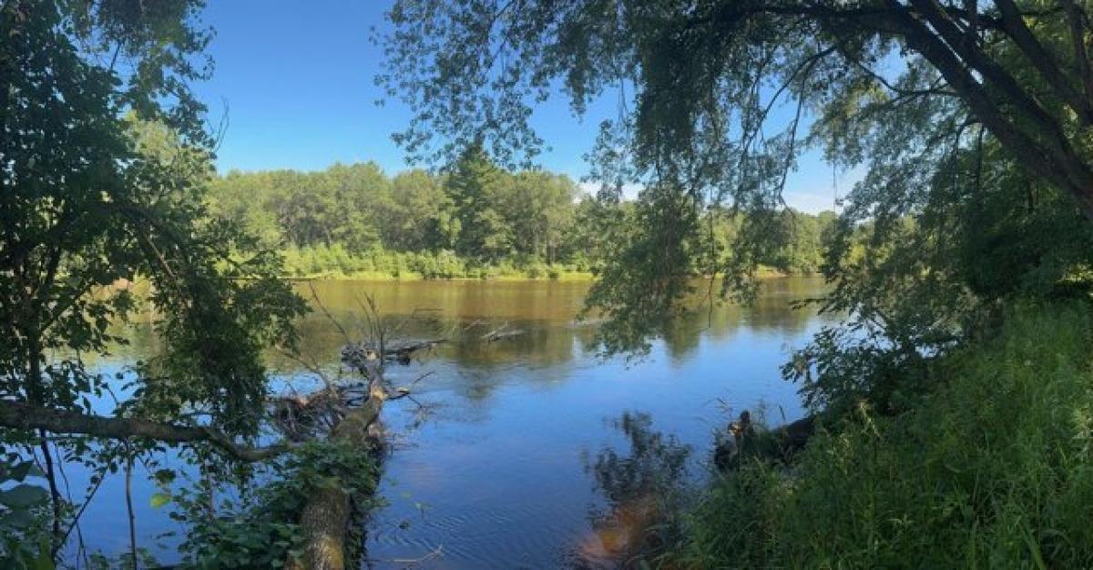 Picture of Residential Land For Sale in Hersey, Michigan, United States