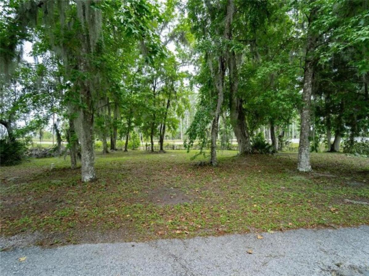 Picture of Residential Land For Sale in Wildwood, Florida, United States