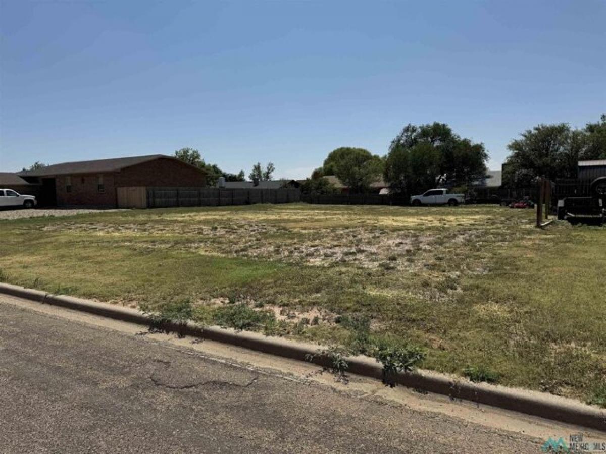 Picture of Residential Land For Sale in Clovis, New Mexico, United States