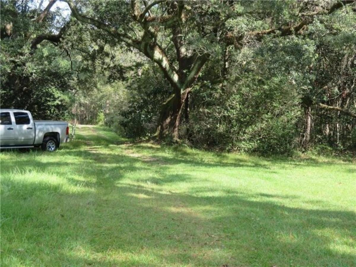 Picture of Residential Land For Sale in Coden, Alabama, United States