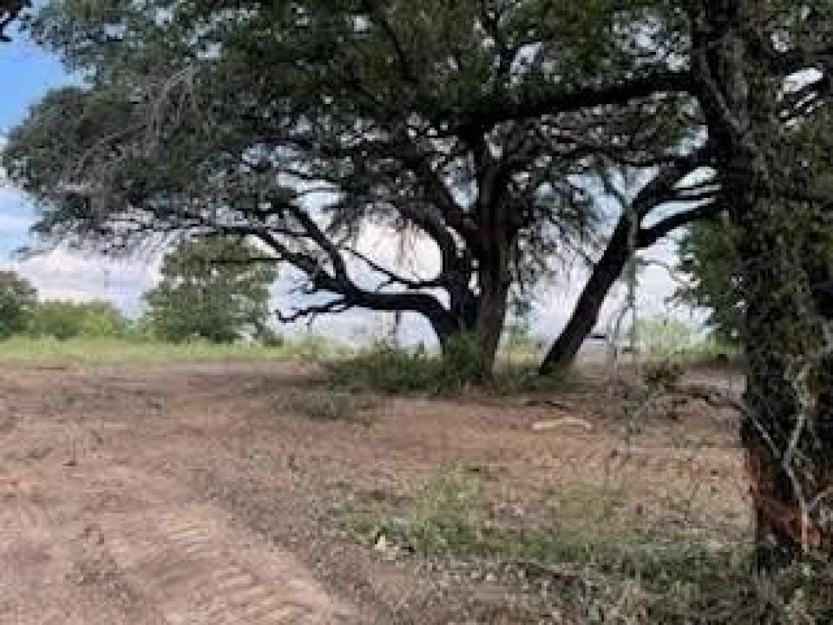 Picture of Residential Land For Sale in Springtown, Texas, United States