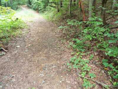 Residential Land For Sale in Whittier, North Carolina