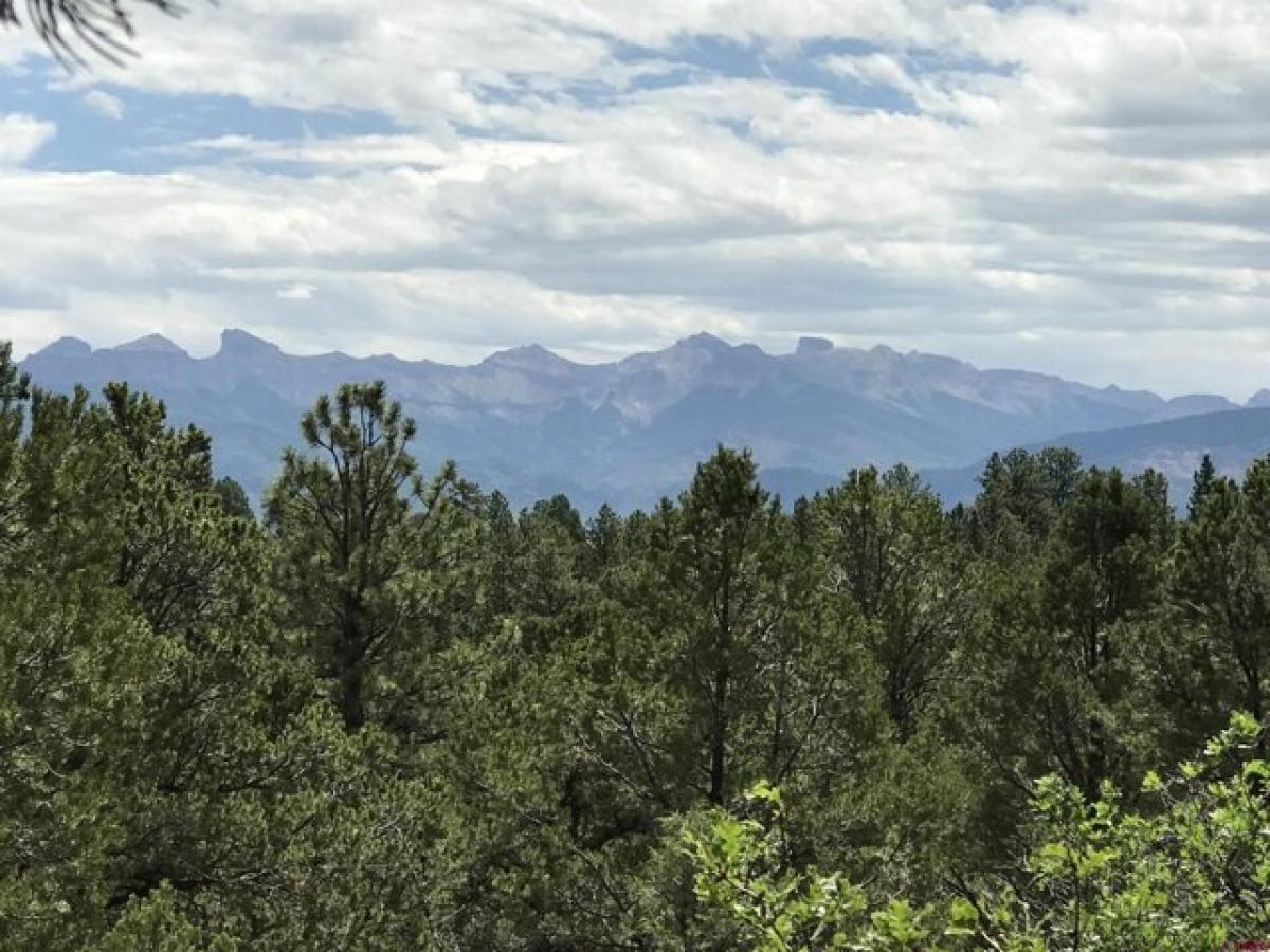 Picture of Residential Land For Sale in Ridgway, Colorado, United States