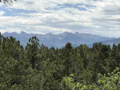 Residential Land For Sale in Ridgway, Colorado