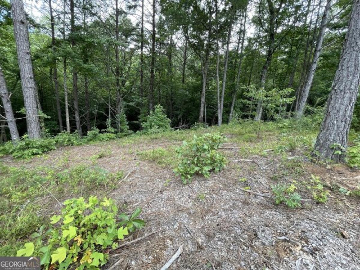 Picture of Residential Land For Sale in Talking Rock, Georgia, United States