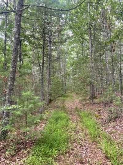 Residential Land For Sale in Warm Springs, Virginia