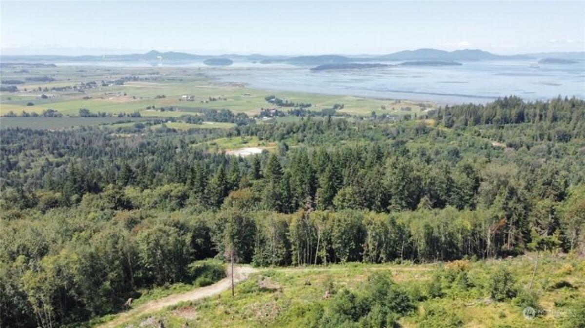 Picture of Residential Land For Sale in Bow, Washington, United States