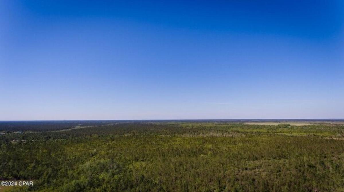 Picture of Residential Land For Sale in Southport, Florida, United States