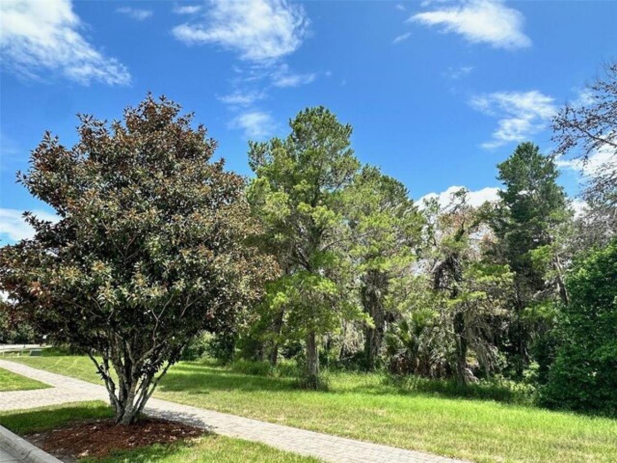 Picture of Residential Land For Sale in Montverde, Florida, United States