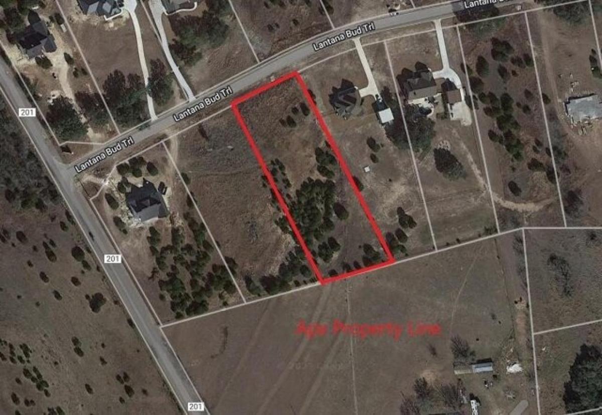 Picture of Residential Land For Sale in Liberty Hill, Texas, United States