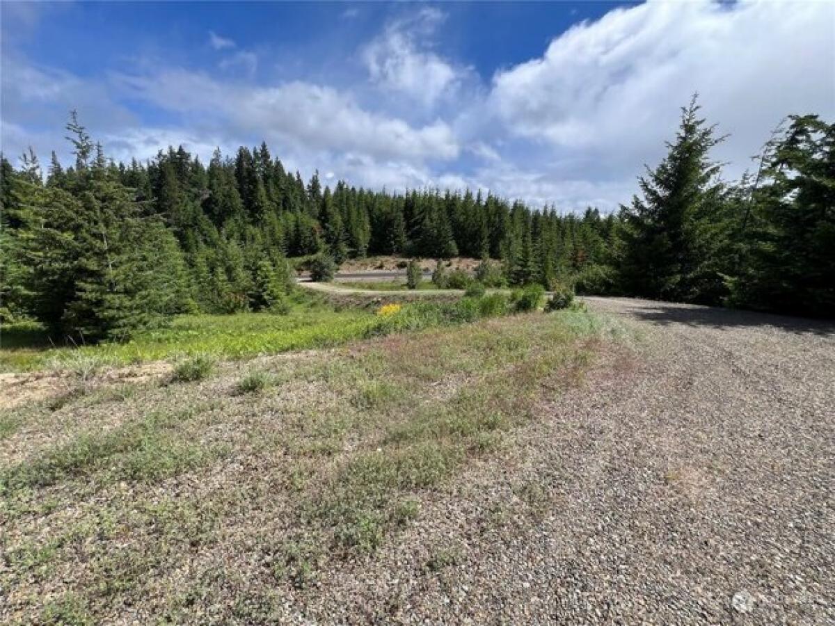 Picture of Residential Land For Sale in Cle Elum, Washington, United States