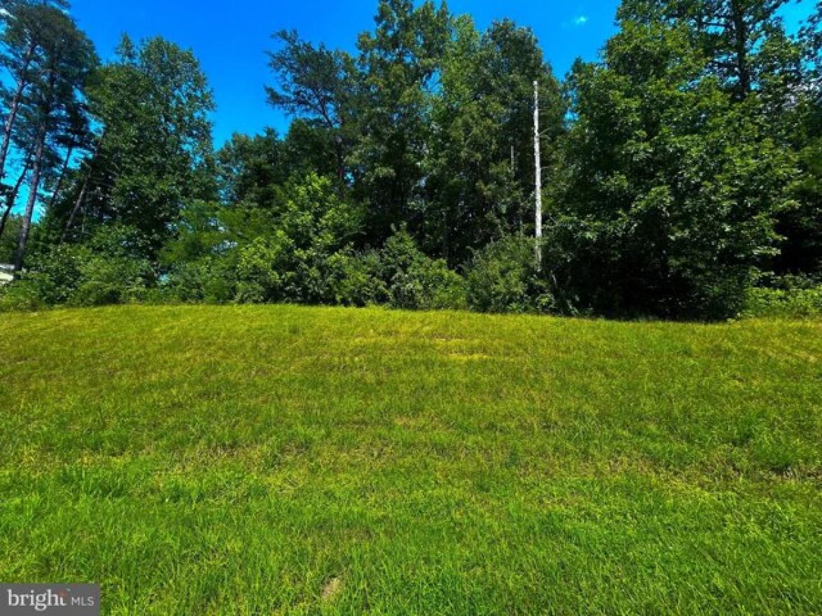 Picture of Residential Land For Sale in Louisa, Virginia, United States