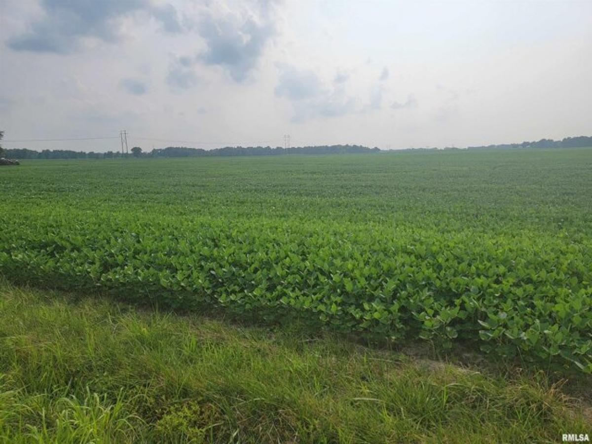 Picture of Residential Land For Sale in Louisville, Illinois, United States