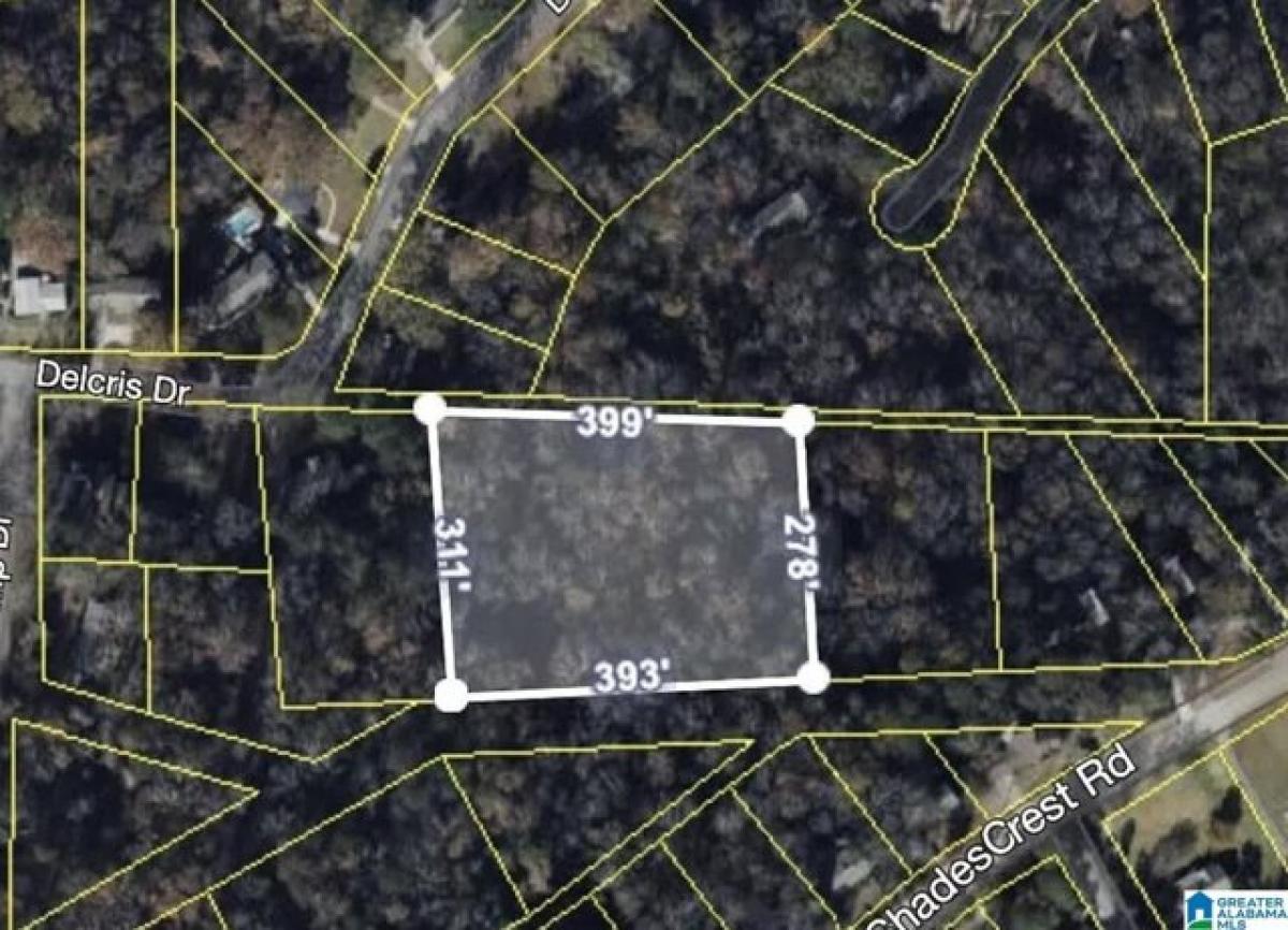 Picture of Residential Land For Sale in Homewood, Alabama, United States