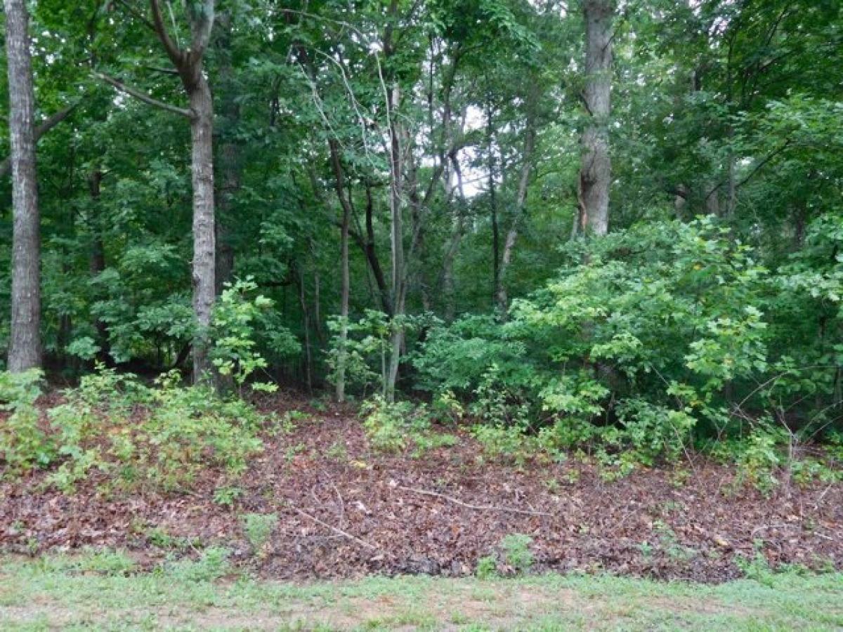 Picture of Residential Land For Sale in Gaffney, South Carolina, United States