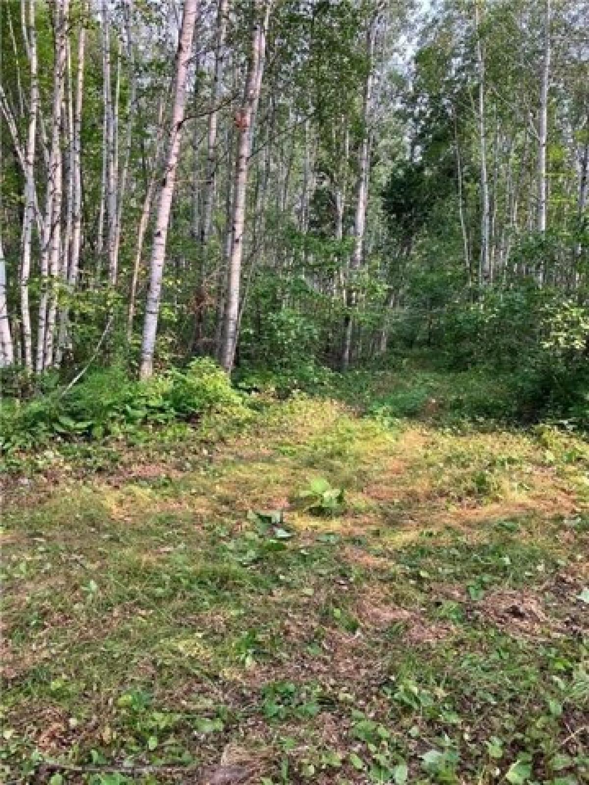 Picture of Residential Land For Sale in Wright, Minnesota, United States