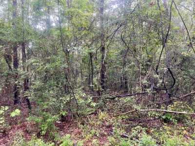 Residential Land For Sale in Kirbyville, Texas