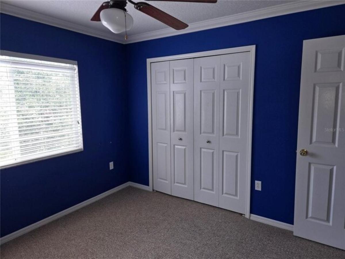 Picture of Home For Rent in Oldsmar, Florida, United States