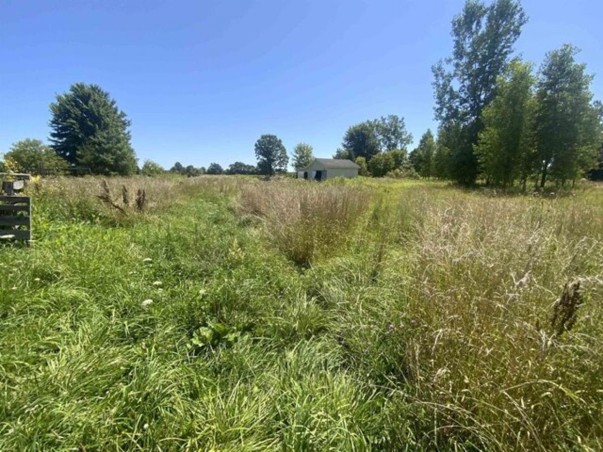 Picture of Home For Sale in Melvin, Michigan, United States