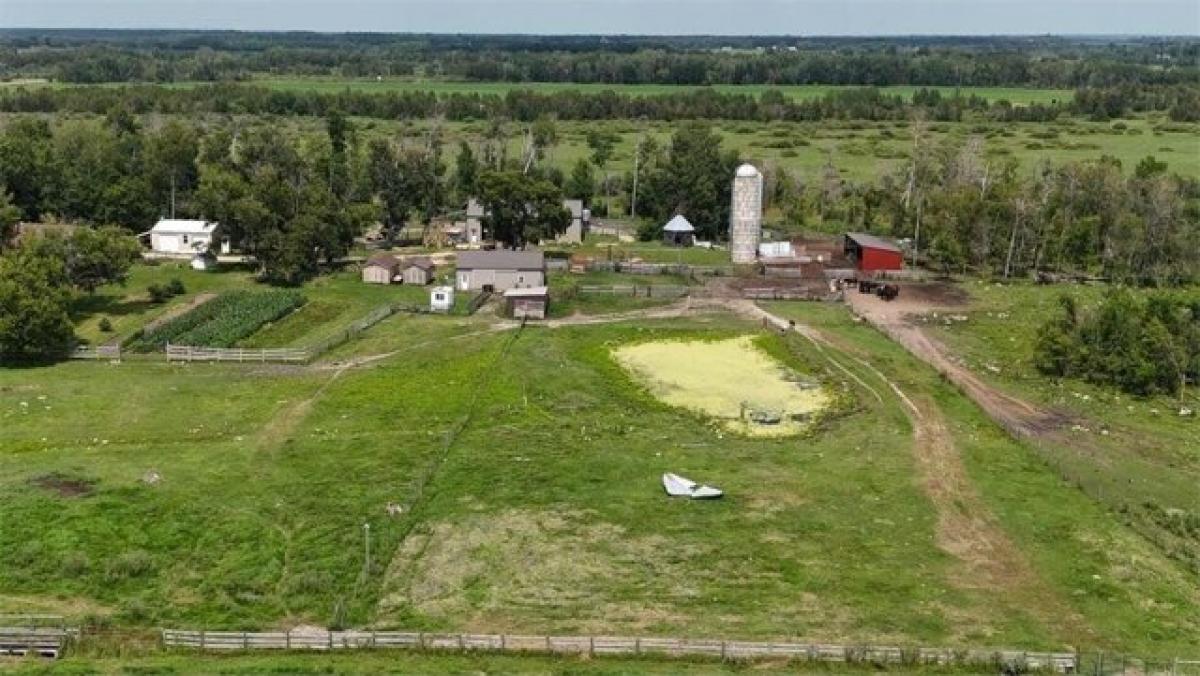 Picture of Home For Sale in Sebeka, Minnesota, United States