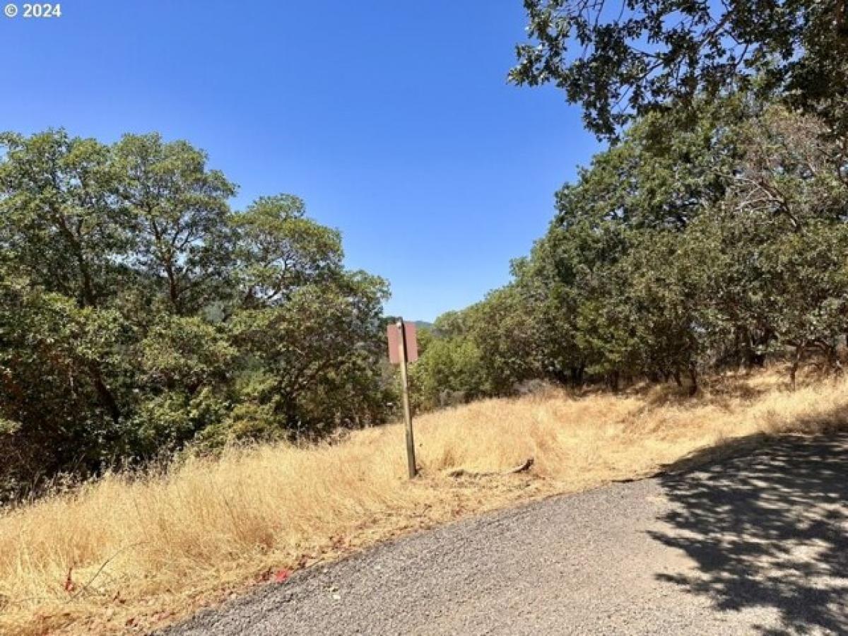 Picture of Residential Land For Sale in Gold Hill, Oregon, United States