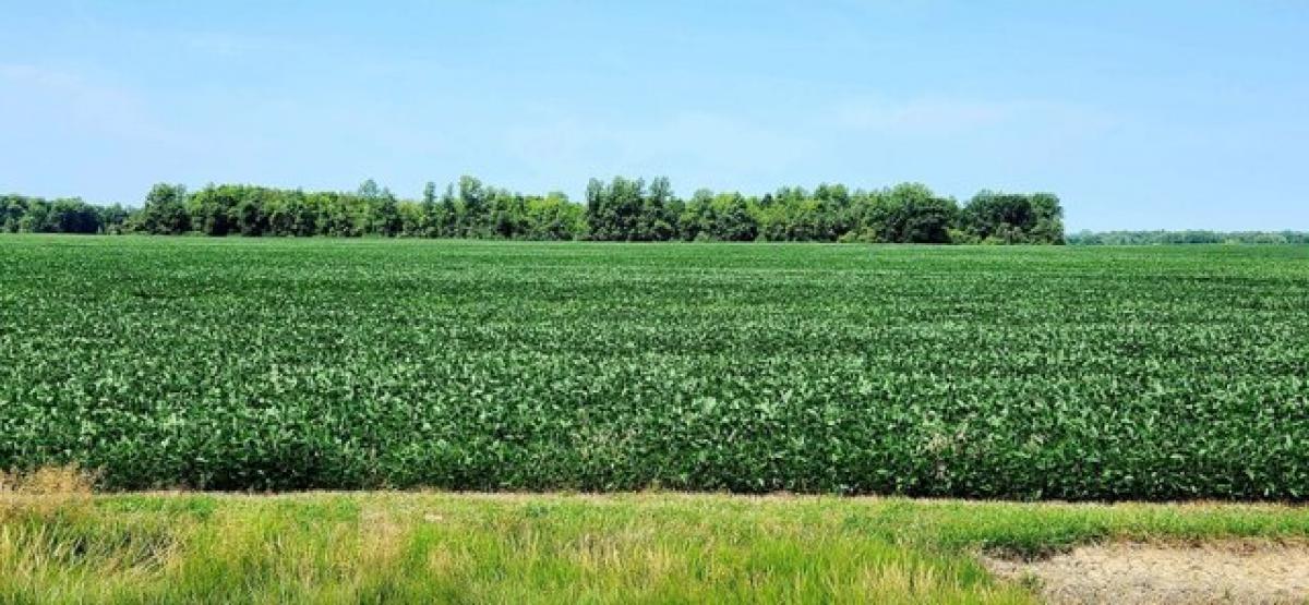 Picture of Residential Land For Sale in Bloomville, Ohio, United States