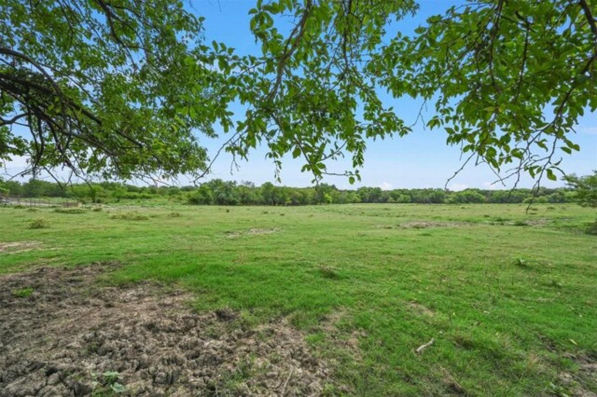 Picture of Residential Land For Sale in Sulphur Springs, Texas, United States