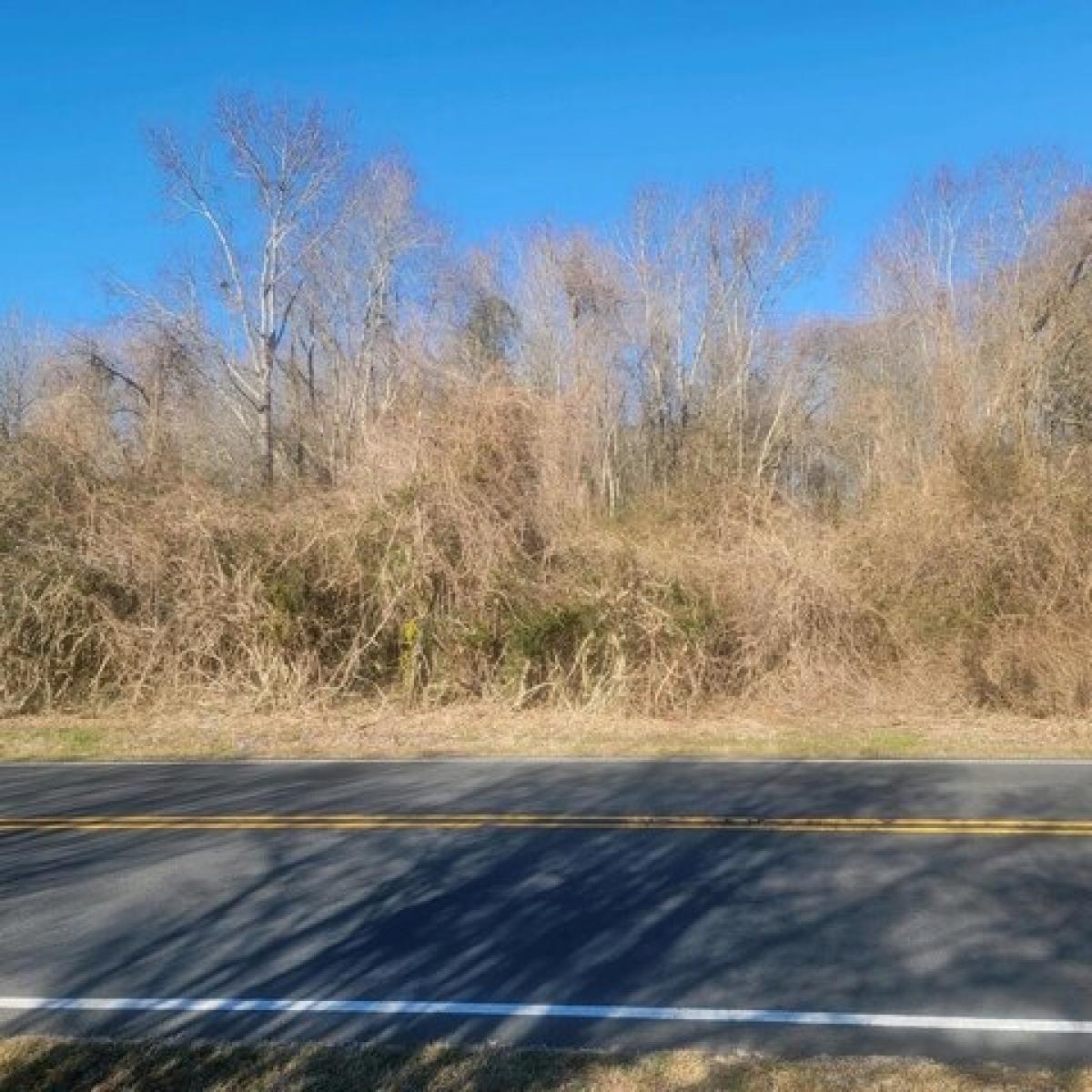 Picture of Residential Land For Sale in New Church, Virginia, United States