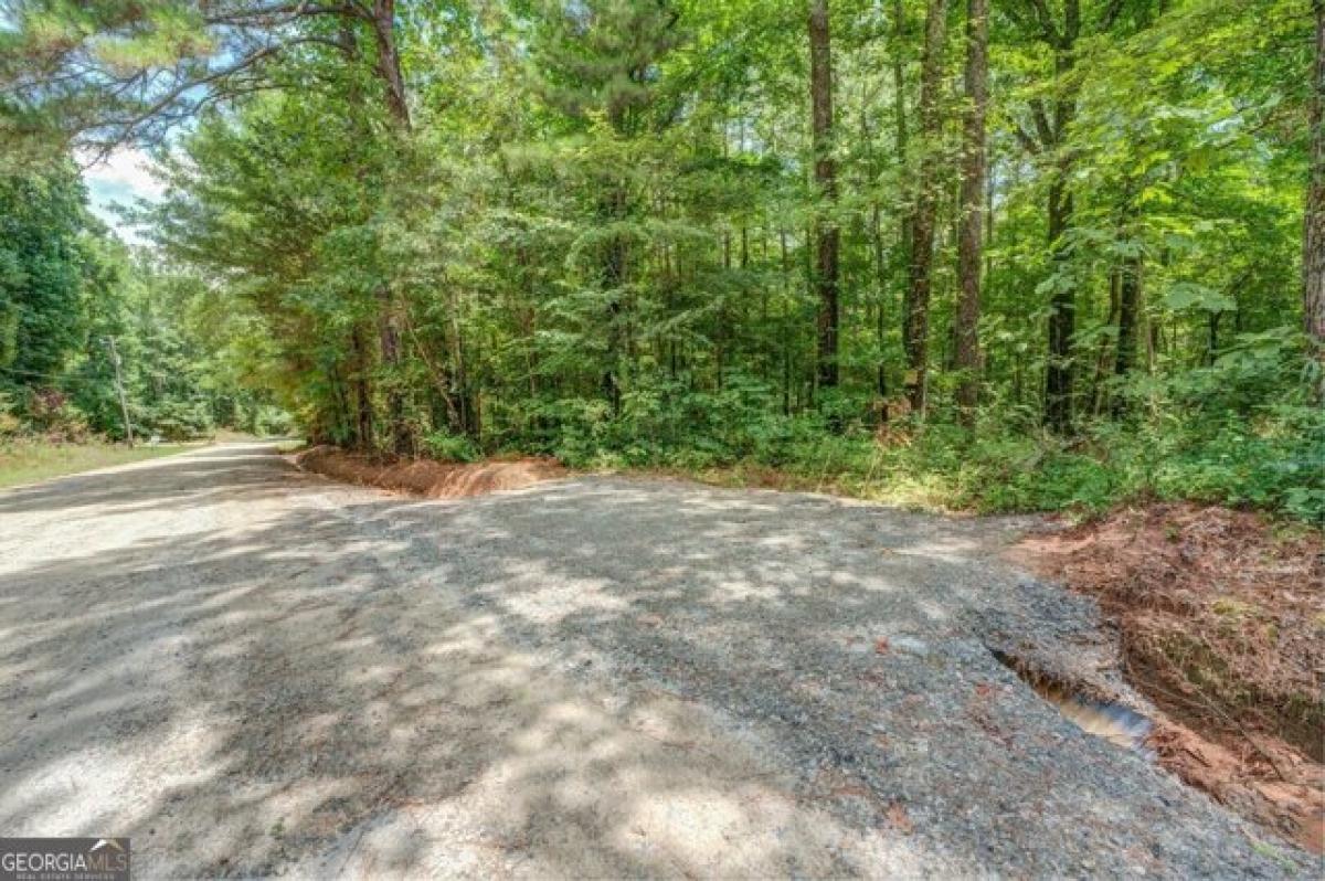 Picture of Residential Land For Sale in Locust Grove, Georgia, United States