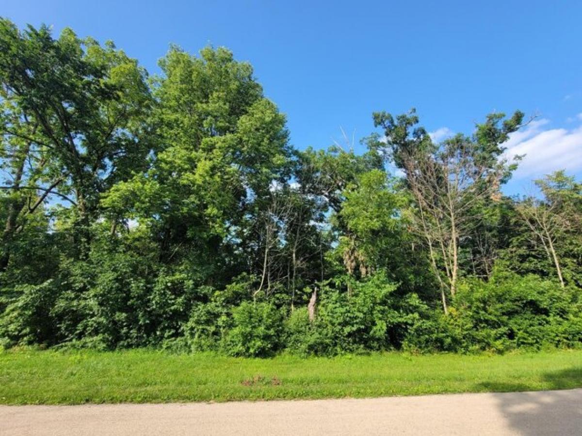 Picture of Residential Land For Sale in Galena, Illinois, United States