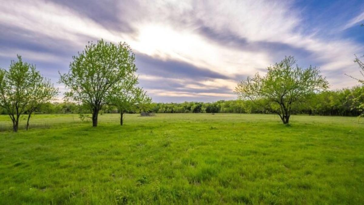 Picture of Residential Land For Sale in Commerce, Texas, United States