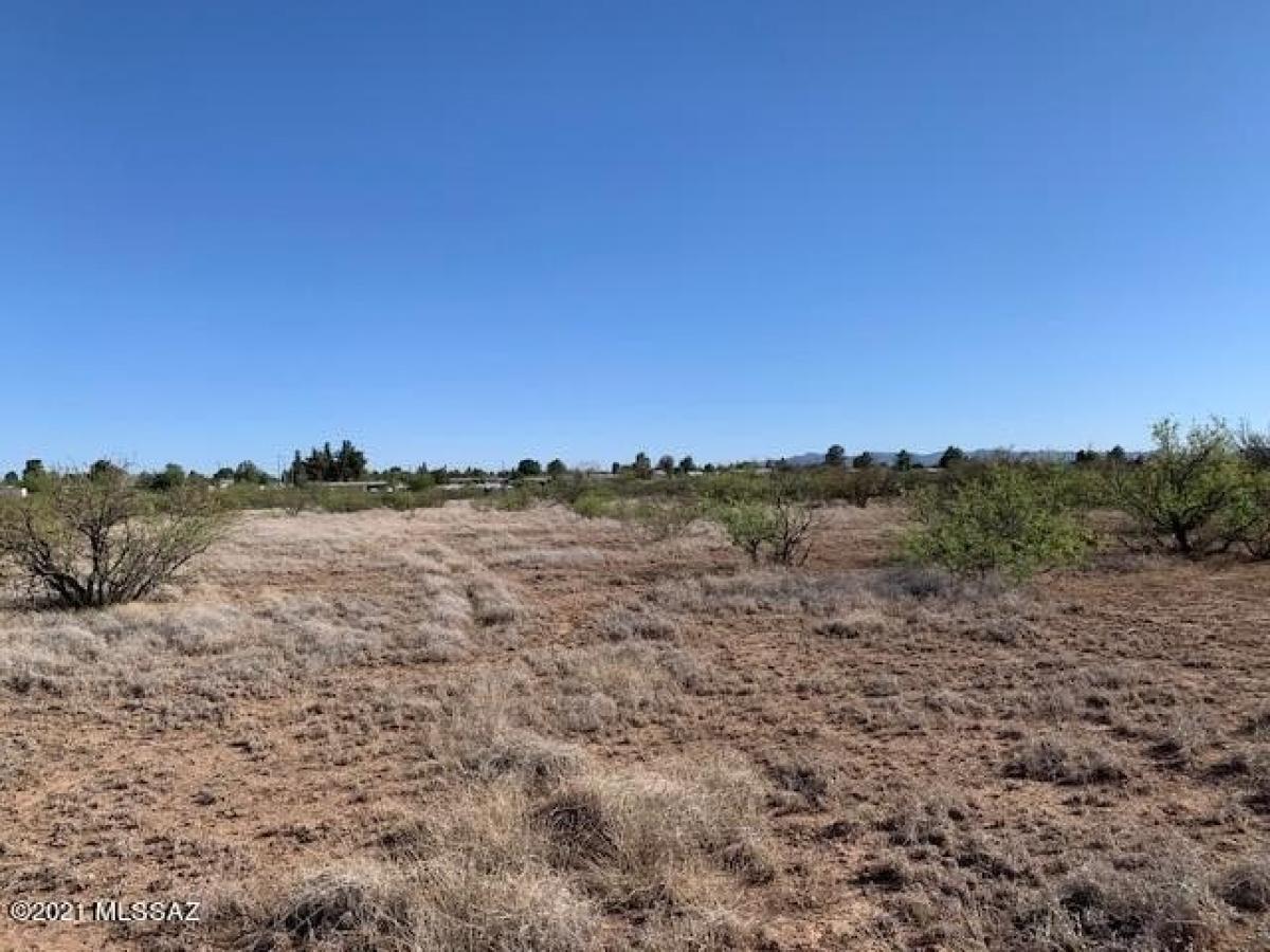 Picture of Residential Land For Sale in Douglas, Arizona, United States