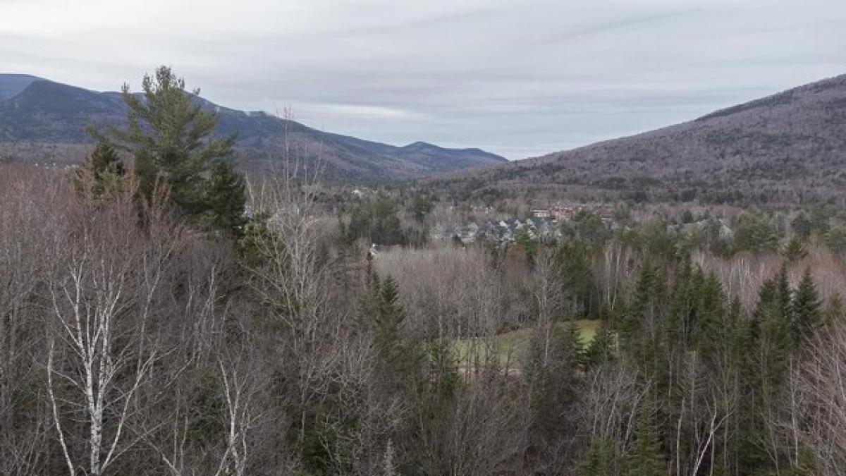 Picture of Residential Land For Sale in Waterville Valley, New Hampshire, United States