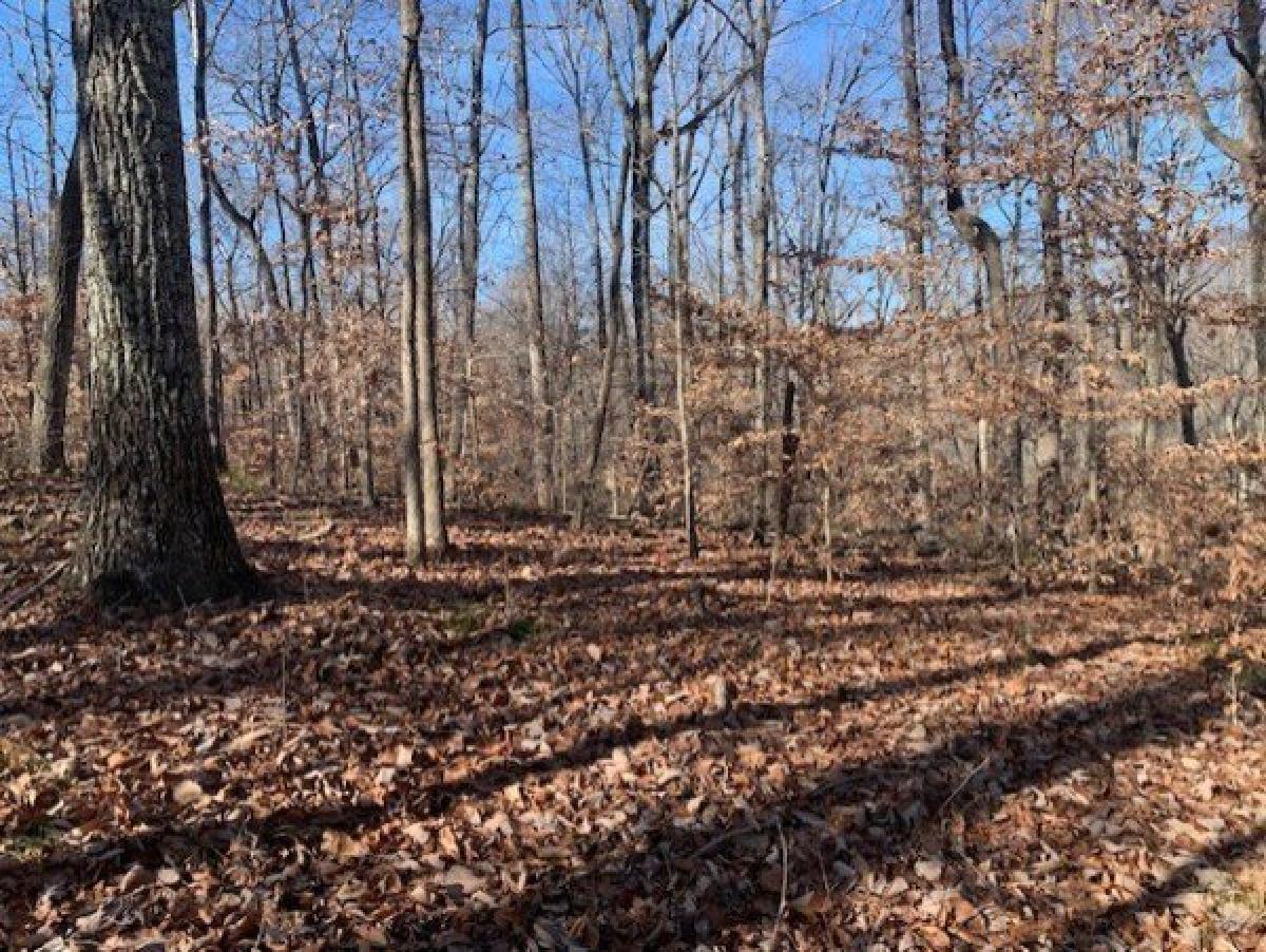 Picture of Residential Land For Sale in Pegram, Tennessee, United States