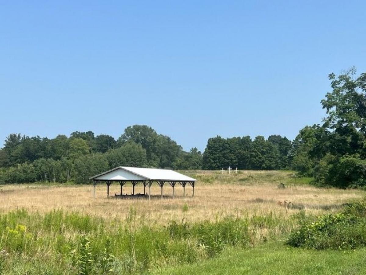 Picture of Residential Land For Sale in Odessa, New York, United States