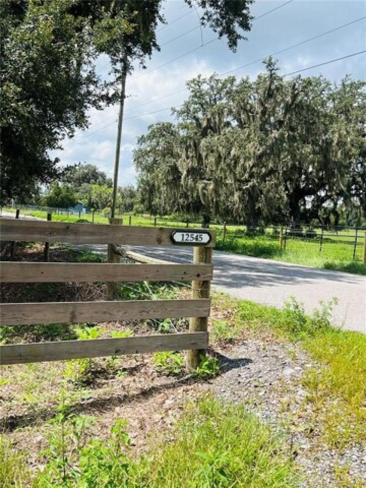 Picture of Residential Land For Sale in Webster, Florida, United States