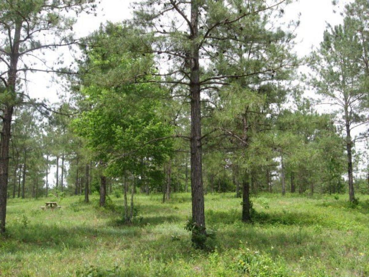 Picture of Residential Land For Sale in Bainbridge, Georgia, United States