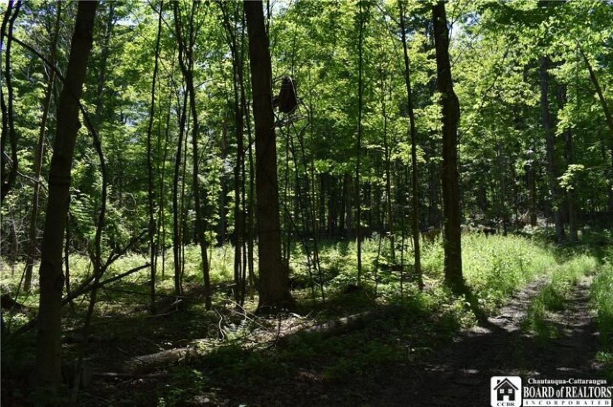 Picture of Residential Land For Sale in Cherry Creek, New York, United States