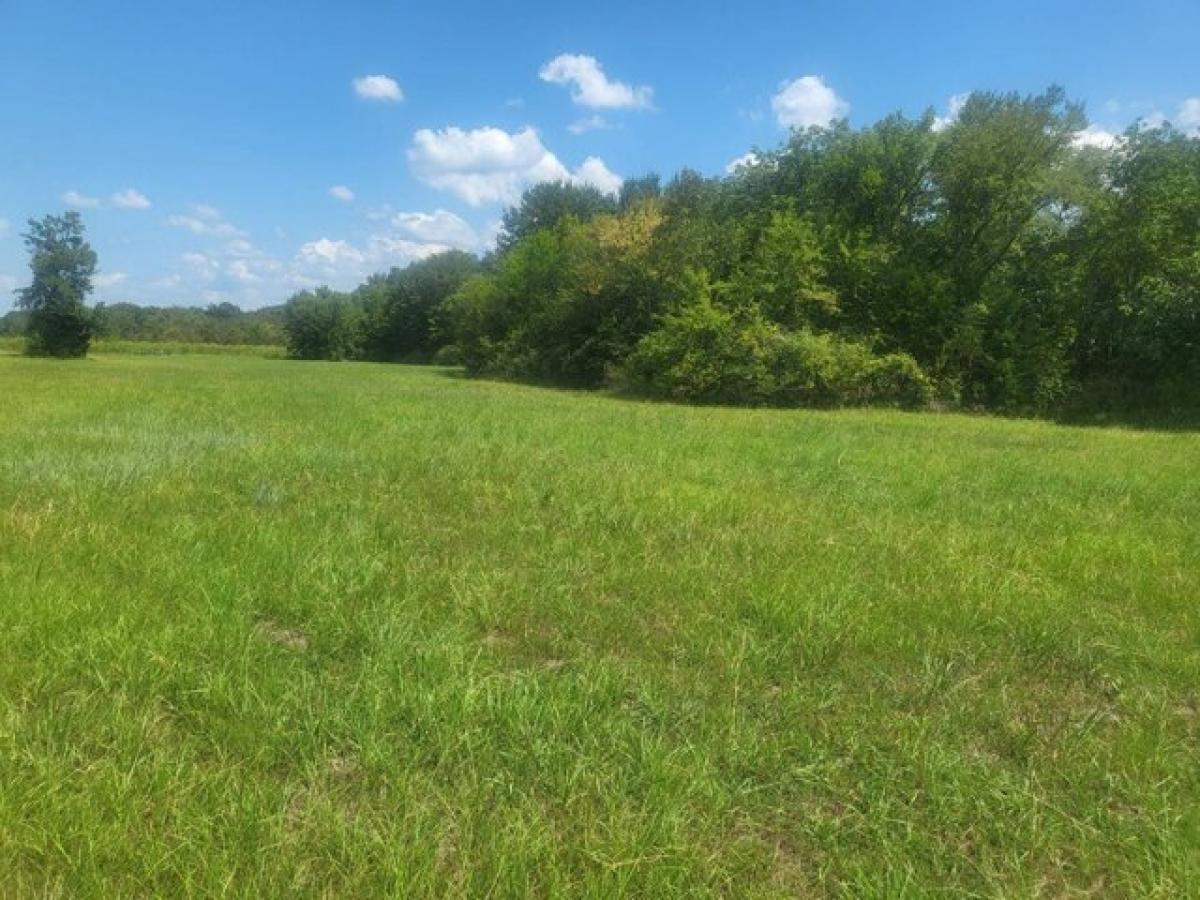 Picture of Residential Land For Sale in Albion, Oklahoma, United States