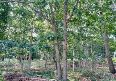 Residential Land For Sale in 