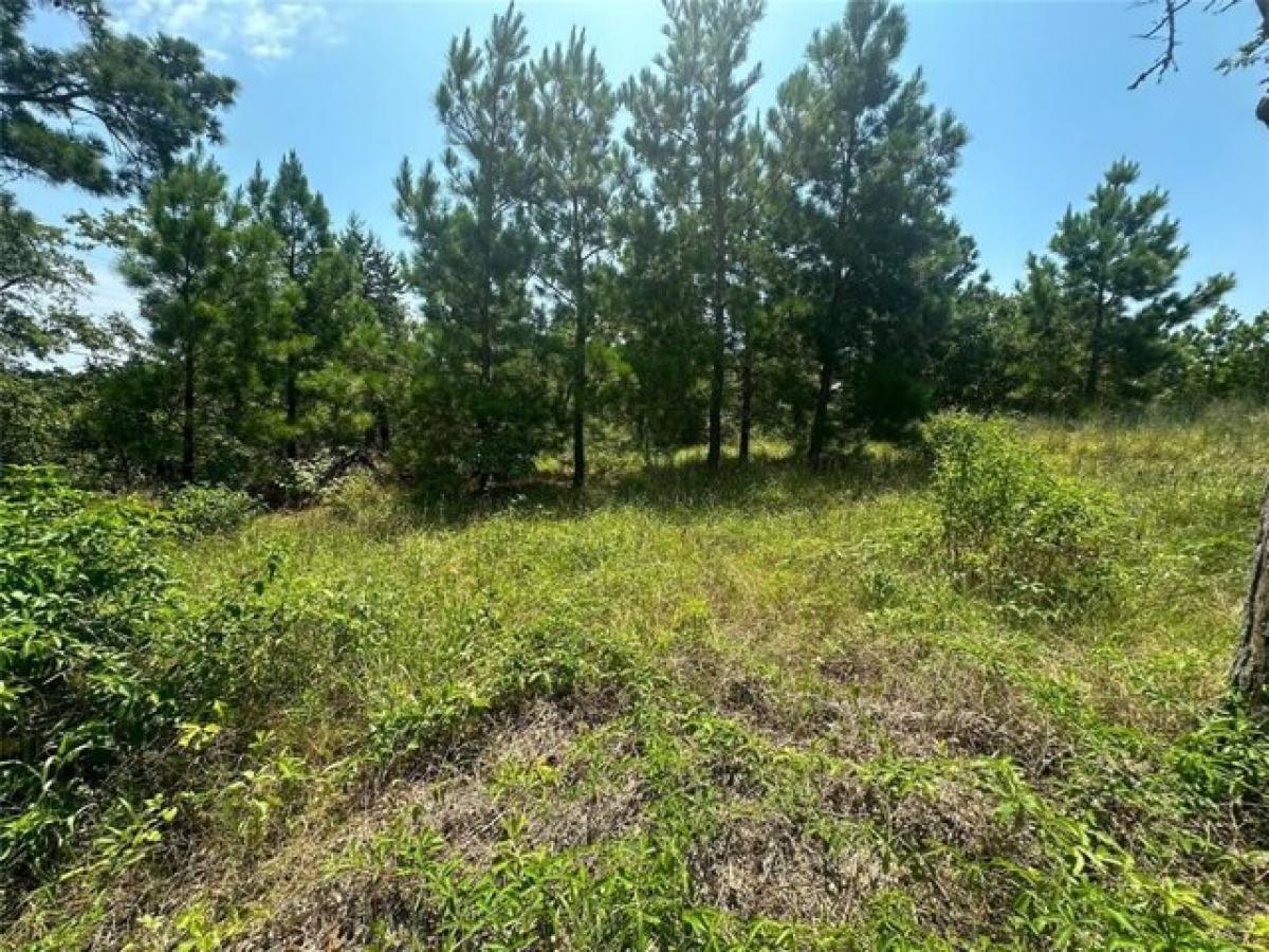 Picture of Residential Land For Sale in Bastrop, Texas, United States