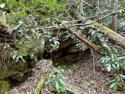 Residential Land For Sale in Tellico Plains, Tennessee